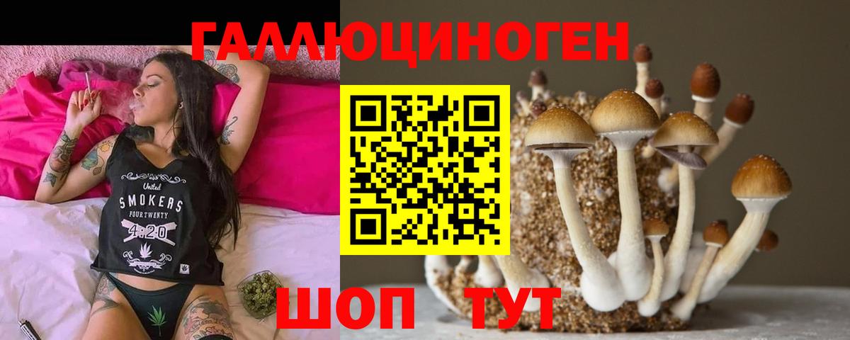 Псилоцибиновые грибы мицелий  Галлюциногенные грибы GOLDEN TEACHER  Артём  Вход с VPN 