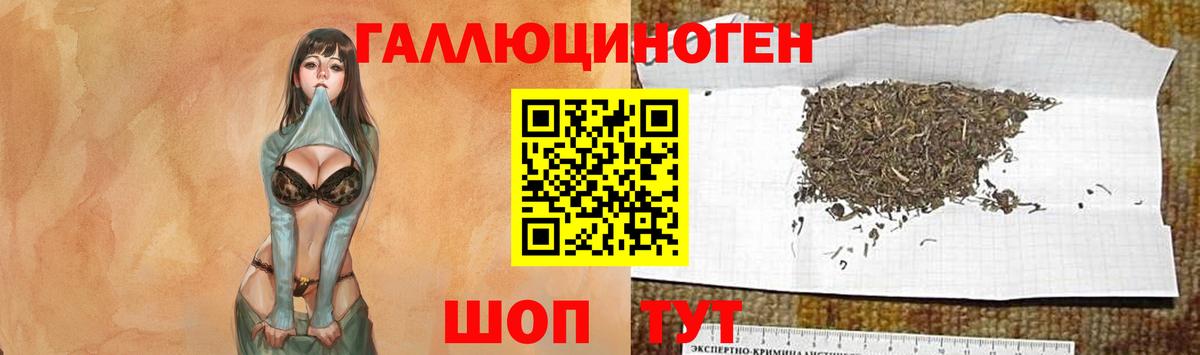 Псилоцибиновые грибы мицелий Артём